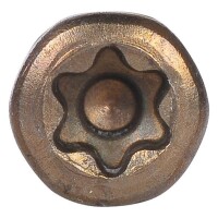 SWG Terrassenschrauben ttap Senkkopf Edelstahl A2 thermisch gebräunt 5,5 x 50 mm mit Bit 500 Stück