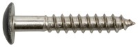 SWG Fassadenschraube 5,5 x 55 mm Edelstahl A4 TX Flachrundkopf Reinweiß RAL 9010 100 Stück