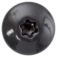 SWG Fassadenschraube 5,5 x 55 mm Edelstahl A4 TX Flachrundkopf Reinweiß RAL 9010 100 Stück