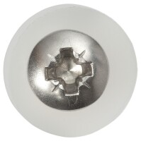 SWG Fensterbankschraube 3,9 x 19 mm Edelstahl A2 PZ Pan Head 100 Stück