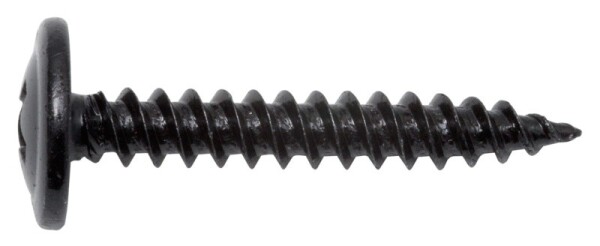 SWG Blechschraube 3,9 x 22 PH Flachrundkopf, schwarz verzinkt, 100 Stück