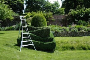 Niwaki Höhenverstellbare Gartenleiter Aluminium...