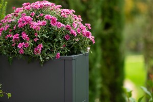 Westmann Metall Pflanzkübel Talus L | Pflanzkübel rechteckig | Anthrazit | 100x25x52 cm