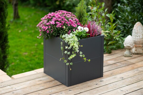 Westmann Metall Pflanzkübel Talus S | Pflanzkübel modern | Anthrazit | 50x50x50 cm