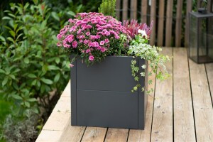 Westmann Metall Pflanzkübel Talus S | Pflanzkübel modern | Anthrazit | 50x50x50 cm