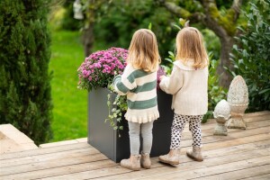Westmann Metall Pflanzkübel Talus S | Pflanzkübel modern | Anthrazit | 50x50x50 cm