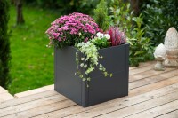 Westmann Metall Pflanzkübel Talus S | Pflanzkübel modern | Anthrazit | 50x50x50 cm