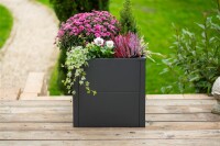 Westmann Metall Pflanzkübel Talus S | Pflanzkübel modern | Anthrazit | 50x50x50 cm