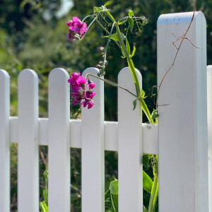 PLUS Retro Zaun - Vielseitige und nostalgische Gartenzäune in verschiedenen Höhen für Vorgärten, Hintergärten und Einfahrten. Fungizidbehandelt und zweimal grundiert für langanhaltende Schönheit und Schutz.