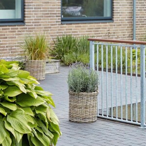 PLUS Basic Geländersystem Terrassenzaun aus feuerverzinktem Stahl oder pulverbeschichtetem Stahl in Schwarz – stilvoll und langlebig für Ihren Außenbereich