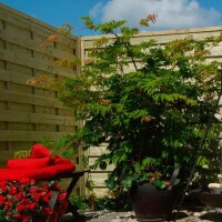 PLUS Bergen Zaun - Vielseitiger und idyllischer Sichtschutz für Garten und Terrasse, wählbar zwischen klassischem Lattenzaun oder dekorativem Spalierzaun. Ideal für eine ländliche Atmosphäre und individuelle Gestaltungsmöglichkeiten mit oder ohne Rankgitt