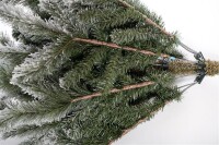 Evergreen Weihnachtsbaum Cedar Frost Kiefer – 210 cm, Winterzauber mit Kunstschnee, dichter und natürlicher Look, ideal für unvergessliche Weihnachten
