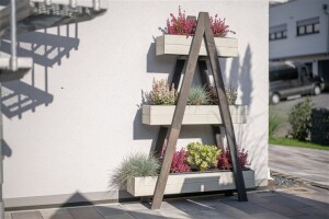 Westmann Pflanzregal Ella Grau | 25x101x147 cm