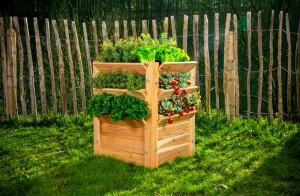 Westmann Hochbeet Premium L Lärchenholz 66x66x73 cm – Mit zusätzlichen Kulturflächen, Natur