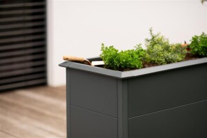 Westmann Hochbeet Primus M Metall 100x50x77 cm – Mit Schneckenschutz, Anthrazit