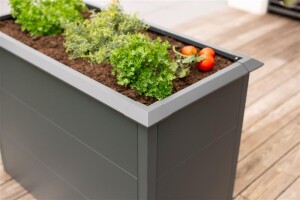 Westmann Hochbeet Primus M Metall 100x50x77 cm – Mit Schneckenschutz, Anthrazit