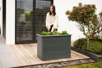 Westmann Hochbeet Primus M Metall 100x50x77 cm – Mit Schneckenschutz, Anthrazit