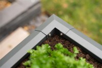 Westmann Hochbeet Primus M Metall 100x50x77 cm – Mit Schneckenschutz, Anthrazit